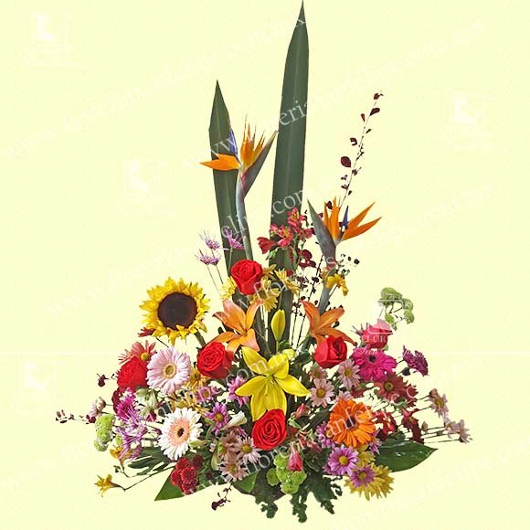 Arreglo Primavera EX